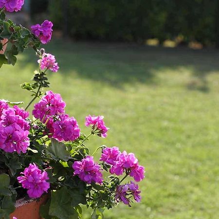 Da Rosa Bed And Breakfast Neviglie Kültér fotó
